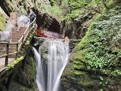 -牛背梁国家森林公园