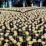 魔都官方授权的安徒生童话乐园，你还不来吗？