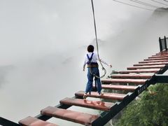 -梦幻奥陶纪景区