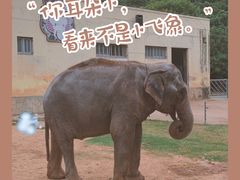 -无锡动物园·太湖欢乐园