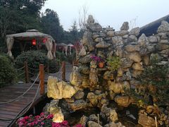 -二荆条·蜀鲜汇城市森林火锅