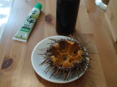 -海胆小馆(东北水饺·春柳店)