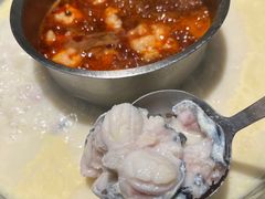 -鱼豆吉·豆浆鱼火锅(宜昌万达店)