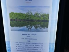 -临沂极地海洋王国