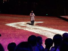 -《12·12》西安事变大型实景演出