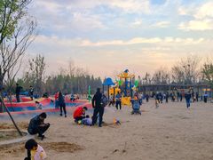 -东郊湿地公园