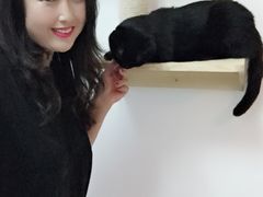 -我爱猫咪·猫咖·狗咖·安哥拉兔·羊驼咖(小寨华旗店)