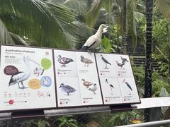 -新加坡飞禽公园
