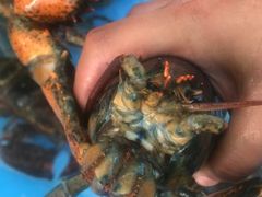 -日照大牌檔•小船海鲜(万平口店)