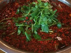 -胖大姐黄辣丁鱼庄(新津店)