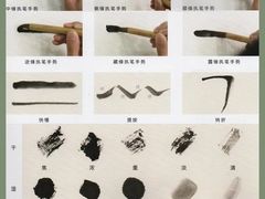 -阿妮亚少儿美术书法(望京店)