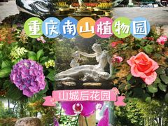 -南山植物园