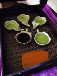 -健身堂科技美肌SPA