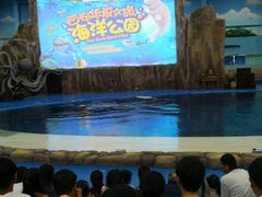 -华夏文旅海洋公园