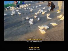 -长春公园(普阳街道)