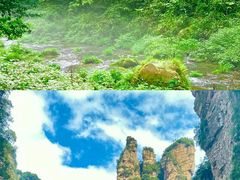 -张家界天门山国家森林公园