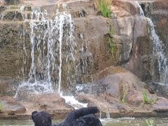 -海南热带野生动植物园