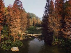 -云溪植物园