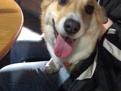 -佰仙面馆