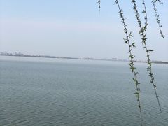 -瑶湖郊野森林公园