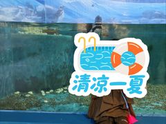 -洛阳龙门海洋馆