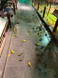 -酷嗒动物文化乐园(cutezoo西溪乐天城店)