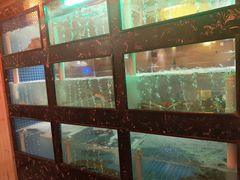 景观位-季玄精致日本料理自助餐(闸北公园店)