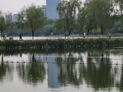 -南宁南湖公园