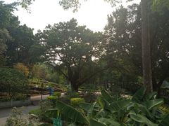 -晓港公园