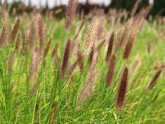 -汉长安城未央宫国家考古遗址公园