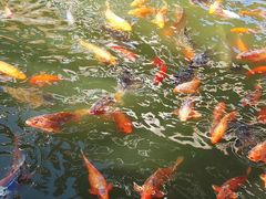 -威海华夏城景区