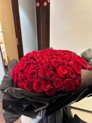 -哈颜科技轻美·