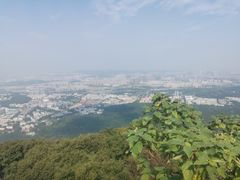 -紫金山山顶公园