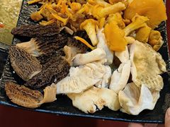 -蘑统田下·野生菌火锅