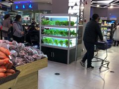 -盒马鲜生(大成店)