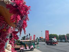 -荷兰花海