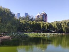 -团结湖公园