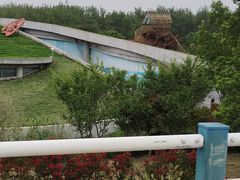 -合肥滨湖国家森林公园