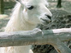 -昆山城市生态森林公园