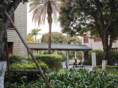 -厦门大学(思明校区)