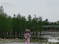 -白鹭湾湿地公园