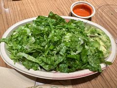 -油梨树AVOCADO TREE(望京店)