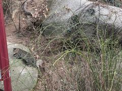 -青岛崂山太清宫