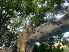 -上海玛雅海滩水公园