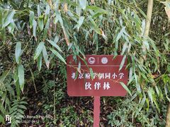 -都江堰中华大熊猫苑