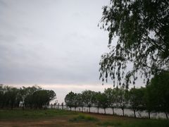 -黄河富景生态世界