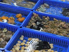 -双月饭店·20年老字号(新村店)