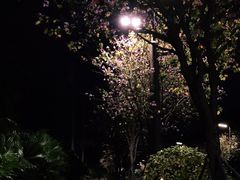 -长富金茂大厦