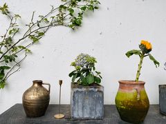 -云里小坐·小院里·团建·宴请·下午茶(三圣乡店)