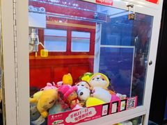 -顽主轰趴馆团建ktv桌游狼人杀(望京店)